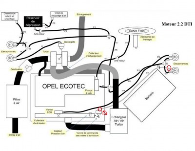 Schemat 2.2 DTI