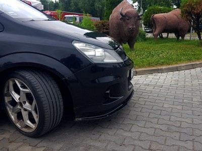 Nie bał się zwierzaczek Preze$@